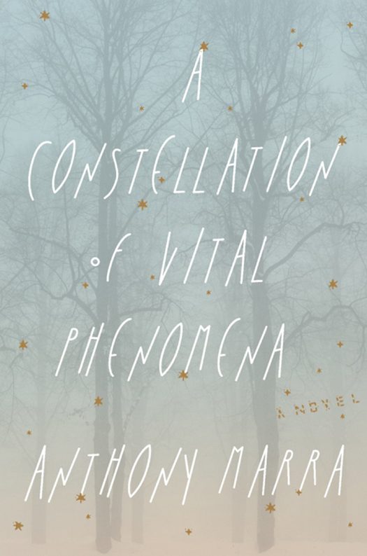 Обложка книги «A Constellation of Vital Phenomena»