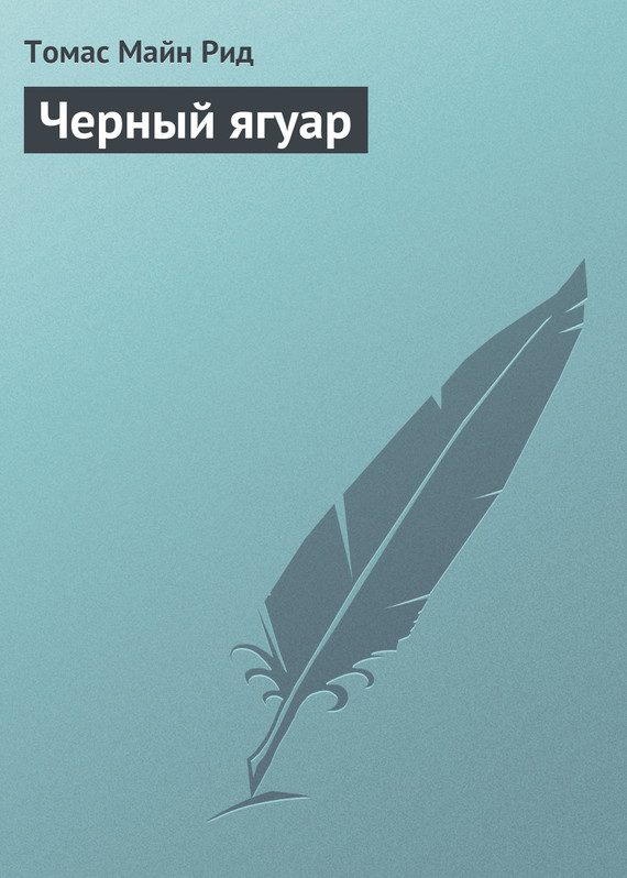 Обложка книги «Черный ягуар»