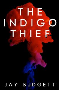 Обложка книги «The Indigo Thief»