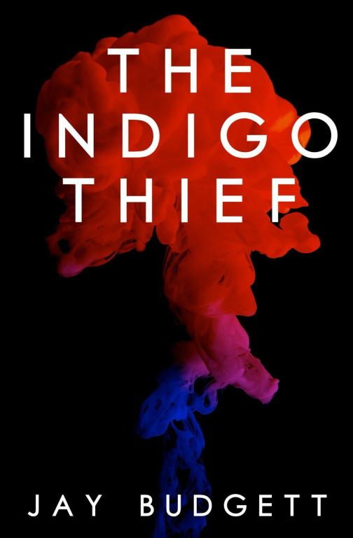 Обложка книги «The Indigo Thief»