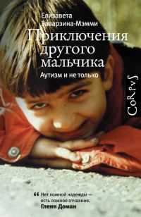 Обложка книги «Приключения другого мальчика. Аутизм и не только»