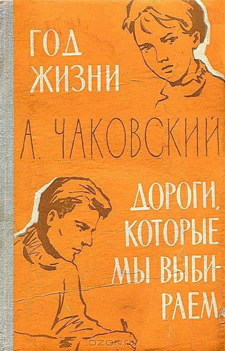 Обложка книги «Год жизни»