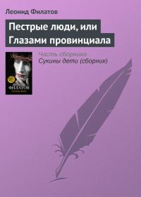 Обложка книги «Пестрые люди, или Глазами провинциала»