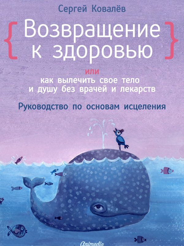 Обложка книги «Возвращение к здоровью, или Как вылечить свое тело и душу без врачей и лекарств. Руководство по основам исцеления»