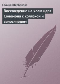 Обложка книги «Восхождение на холм царя Соломона с коляской и велосипедом»