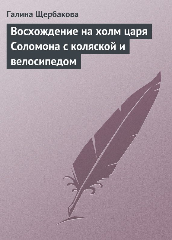 Обложка книги «Восхождение на холм царя Соломона с коляской и велосипедом»