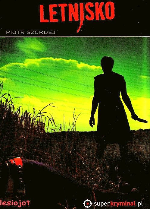 Обложка книги «Домик в дачном поселке»
