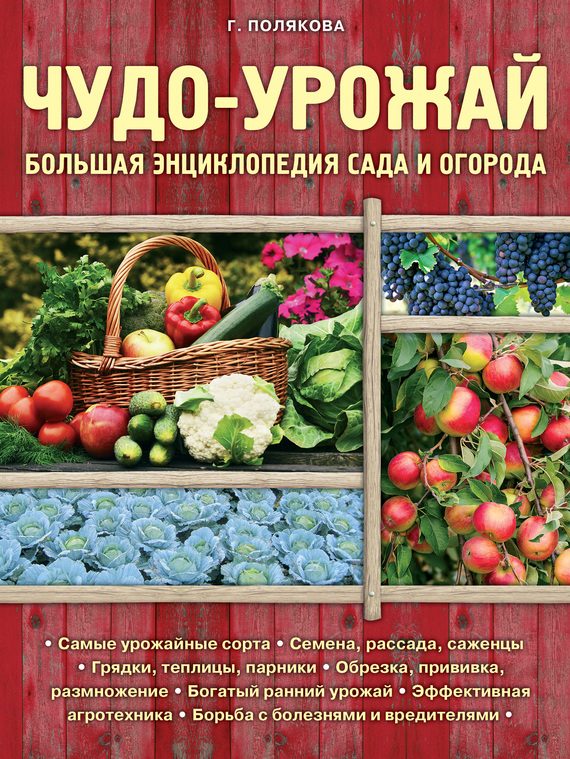 Обложка книги «Чудо-урожай. Большая энциклопедия сада и огорода»
