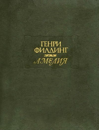 Обложка книги «Амелия»