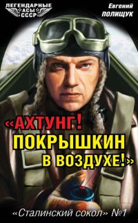 Обложка книги ««Ахтунг! Покрышкин в воздухе!»»