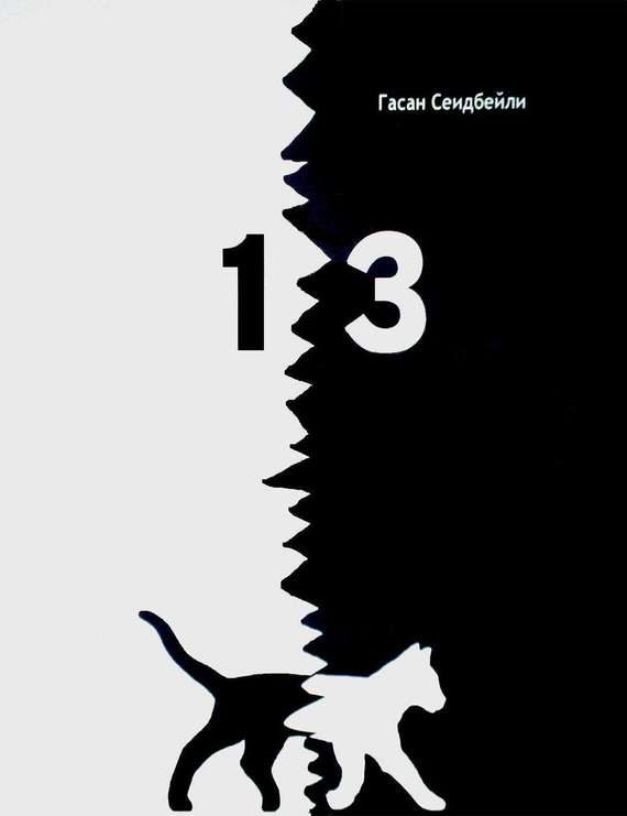 Обложка книги «13»