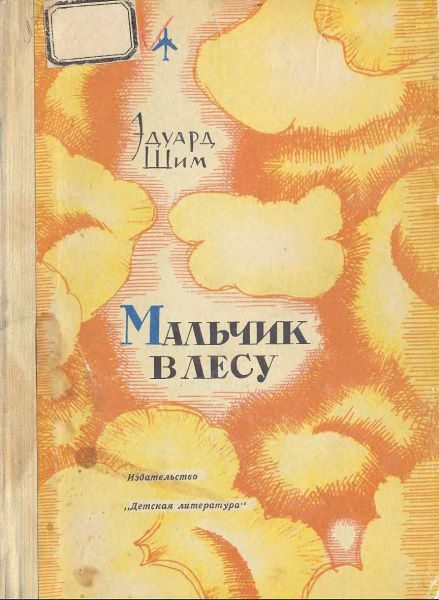 Обложка книги «Мальчик в лесу»