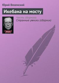 Обложка книги «Икебана на мосту»