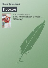 Обложка книги «Прокол»