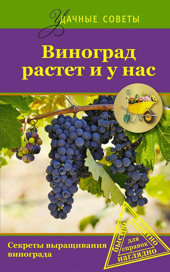 Обложка книги «Виноград растет и у нас»