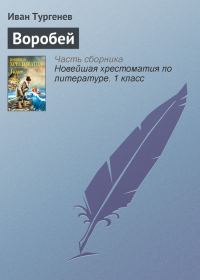 Обложка книги «Воробей»