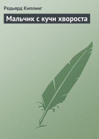 Обложка книги «Мальчик с кучи хвороста»