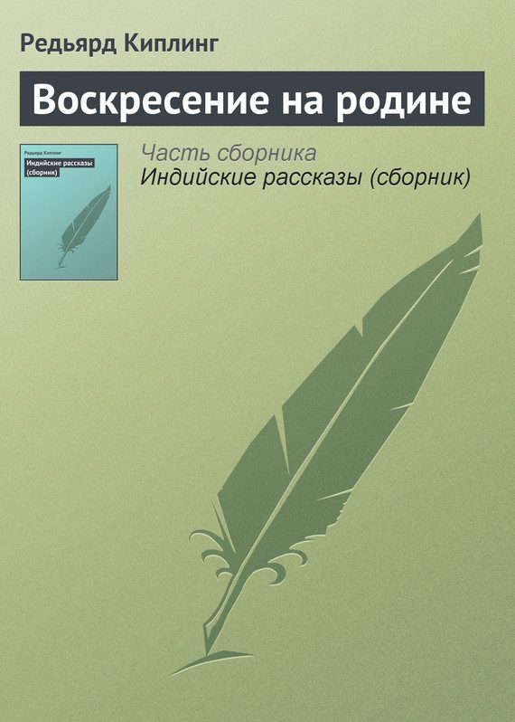 Обложка книги «Воскресение на родине»