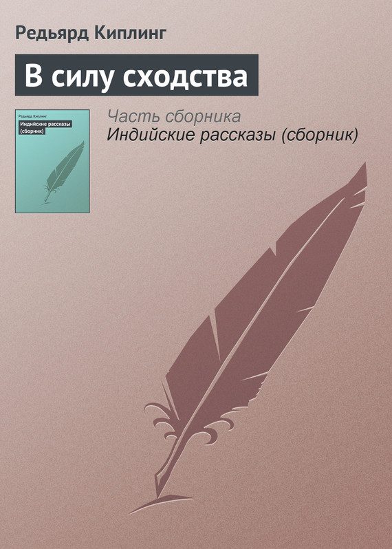 Обложка книги «В силу сходства»