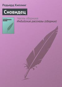 Обложка книги «Сновидец»
