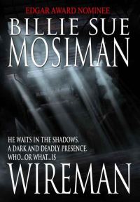 Обложка книги «Wireman»