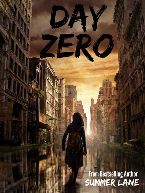 Обложка книги «Day Zero»
