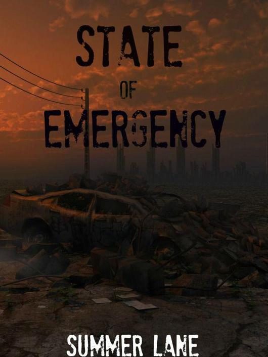 Обложка книги «State of Emergency»