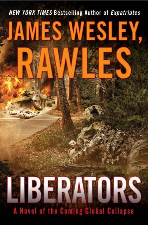 Обложка книги «Liberators: A Novel of the Coming Global Collapse»