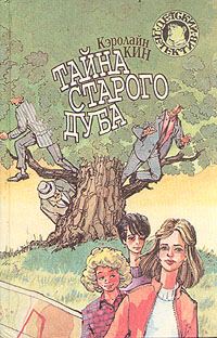 Обложка книги «Тайна покосившейся трубы»