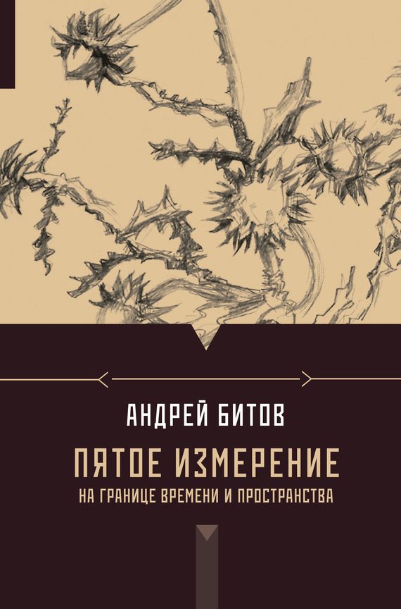 Обложка книги «Пятое измерение. На границе времени и пространства»