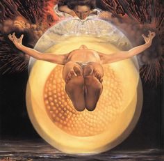 Обложка книги «The Egg»