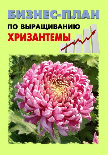 Обложка книги «Бизнес-план по выращиванию хризантемы»