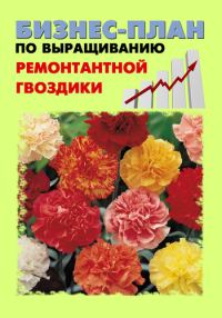 Обложка книги «Бизнес-план по выращиванию ремонтантной гвоздики»