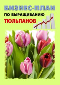 Обложка книги «Бизнес-план по выращиванию тюльпанов»