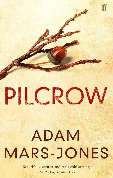 Обложка книги «Pilcrow»