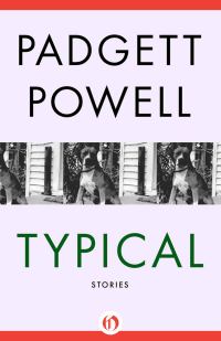 Обложка книги «Typical: Stories»