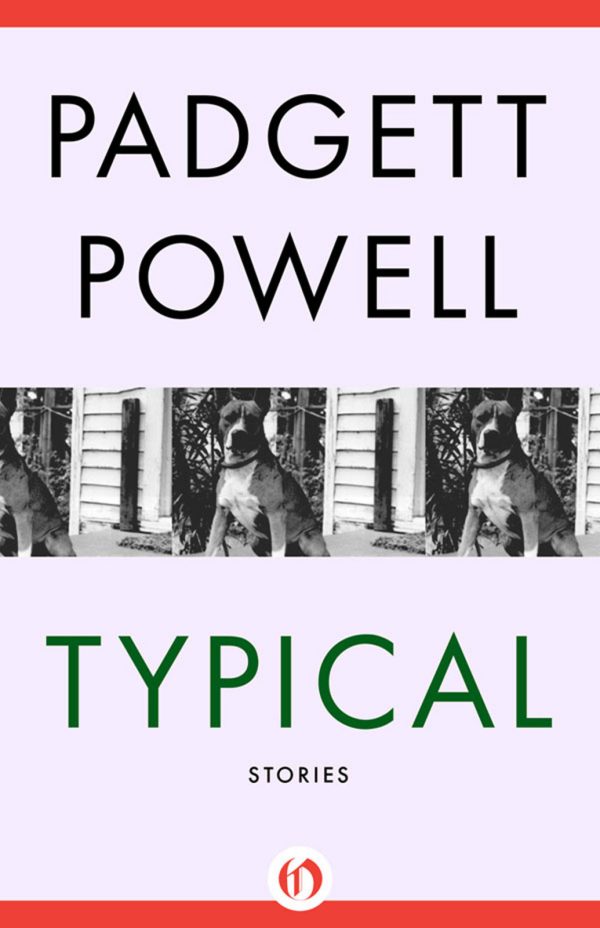 Обложка книги «Typical: Stories»