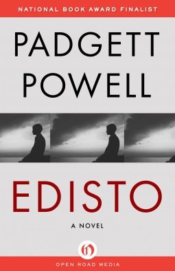Обложка книги «Edisto»
