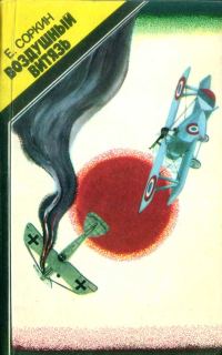 Обложка книги «Воздушный витязь»