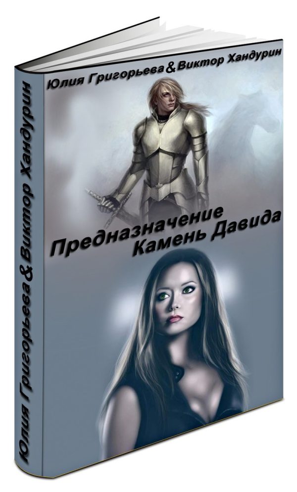 Обложка книги «Предназначение. Камень Давида»