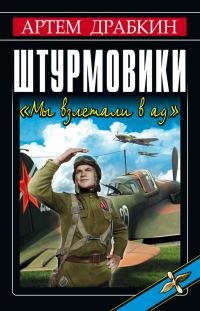 Обложка книги «Штурмовики»