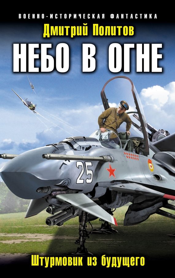 Обложка книги «Штурмовик из будущего»