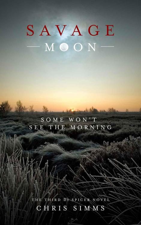 Обложка книги «Savage Moon»