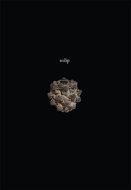 Обложка книги «Solip»