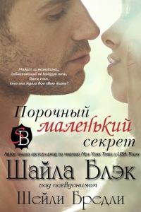 Обложка книги «Порочный маленький секрет»
