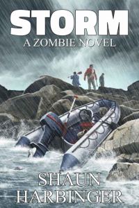 Обложка книги «Storm»