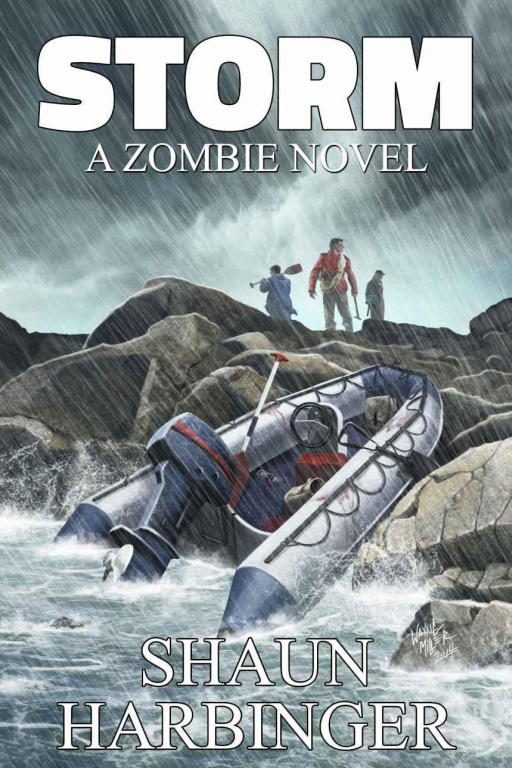 Обложка книги «Storm»