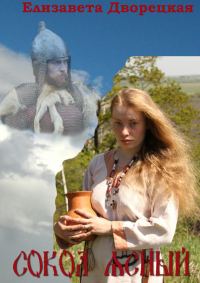 Обложка книги «Сокол Ясный»