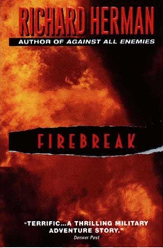 Обложка книги «Firebreak»