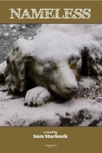 Обложка книги «Nameless»